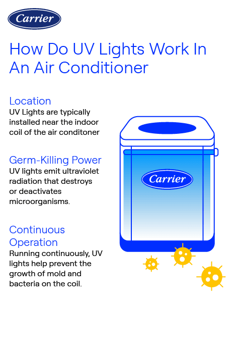 Carrier UV Light For Air Conditioner Infographic Carrier-branded infographic explaining how UV lights work in an air conditioner, highlighting their placement near the indoor coil, ability to kill germs with ultraviolet radiation, and continuous operation to prevent mold and bacteria growth.