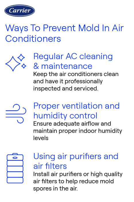 preventing-mold-in-air-conditioner-infographic Carrier-branded infographic illustrating three ways to prevent mold in air conditioners: regular AC cleaning and maintenance, proper ventilation and humidity control, and using air purifiers and air filters;