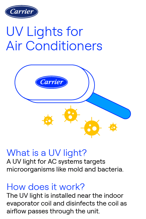 Carrier infographic explaining UV lights for air conditioners, showing how they work and their benefits for indoor air quality and system efficiency.