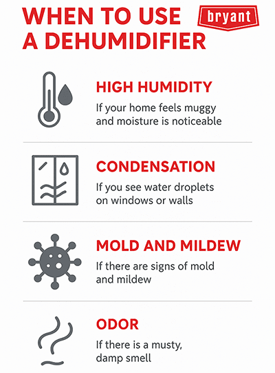 Bryant When To Use A Dehumidifier Infographic
