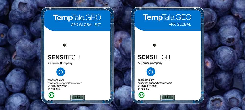 TempTale GEO APX Global monitors over background of blueberries