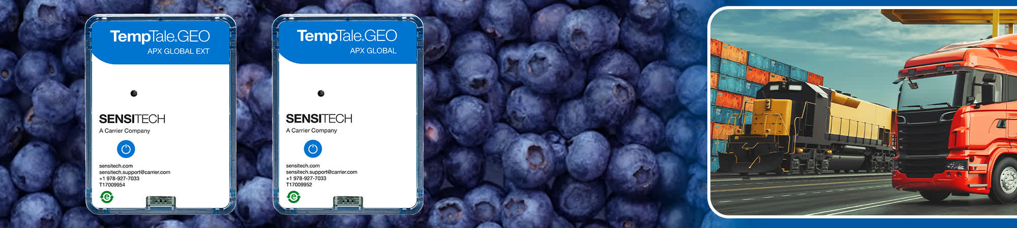 TempTale GEO APX Global monitors over background of blueberries and logistics image
