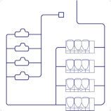 carrier-plant-diagram carrier-plant-diagram
