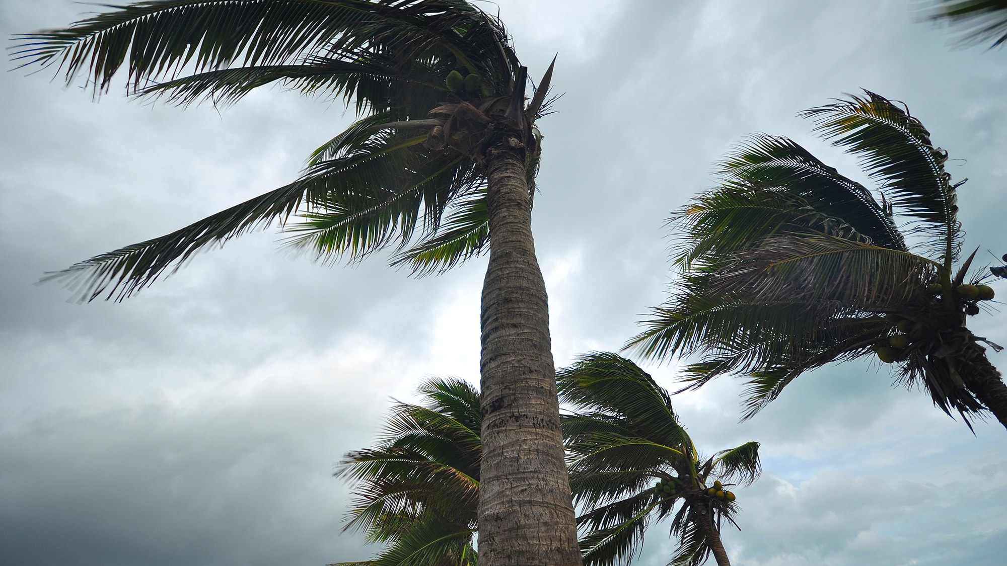 carrier-rentals-rescuing-hurricane-emergency-workers-case-studies