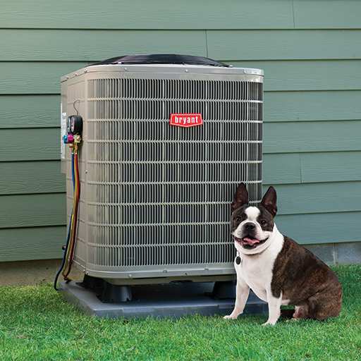 braynt-pup-sitting-next-to-an-air-conditioner-in-the-backyard-mb