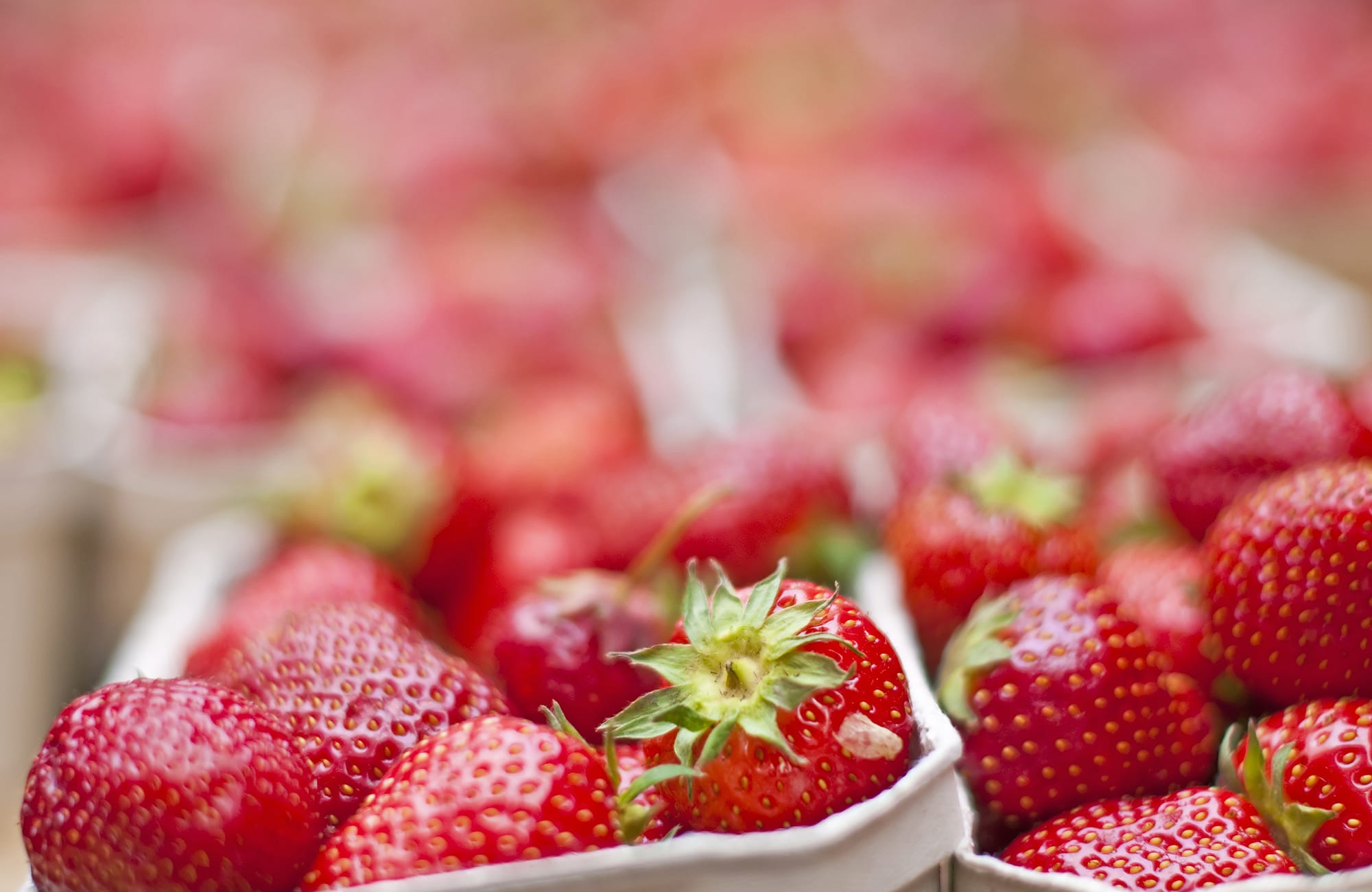 strawberries-in-containers