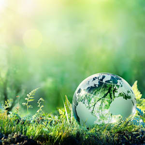 carrier-glass-globe-sitting-in-grass-with-sunshine-sq