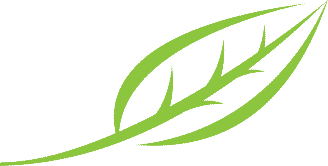 carrier-sustainability-leaf