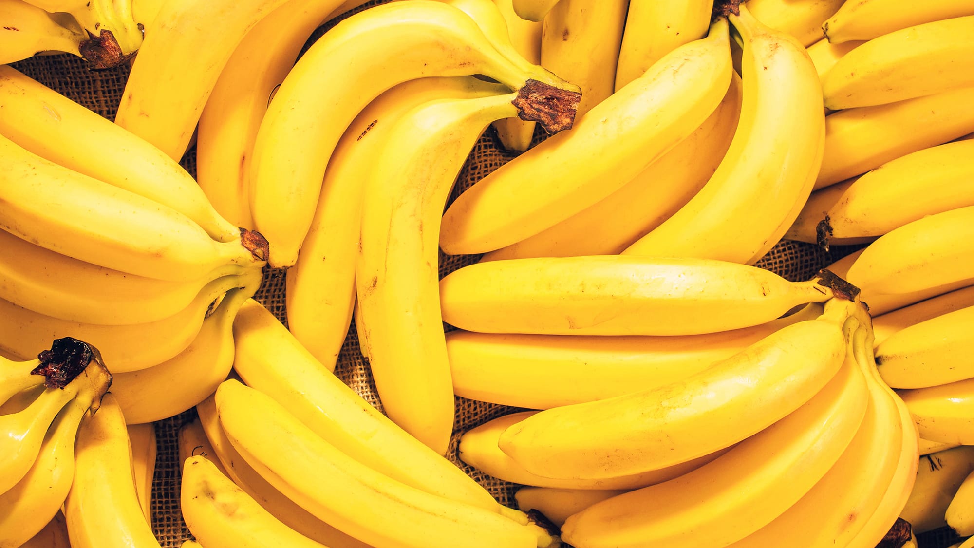 Bananas-Cold-Chain-Study-16x9