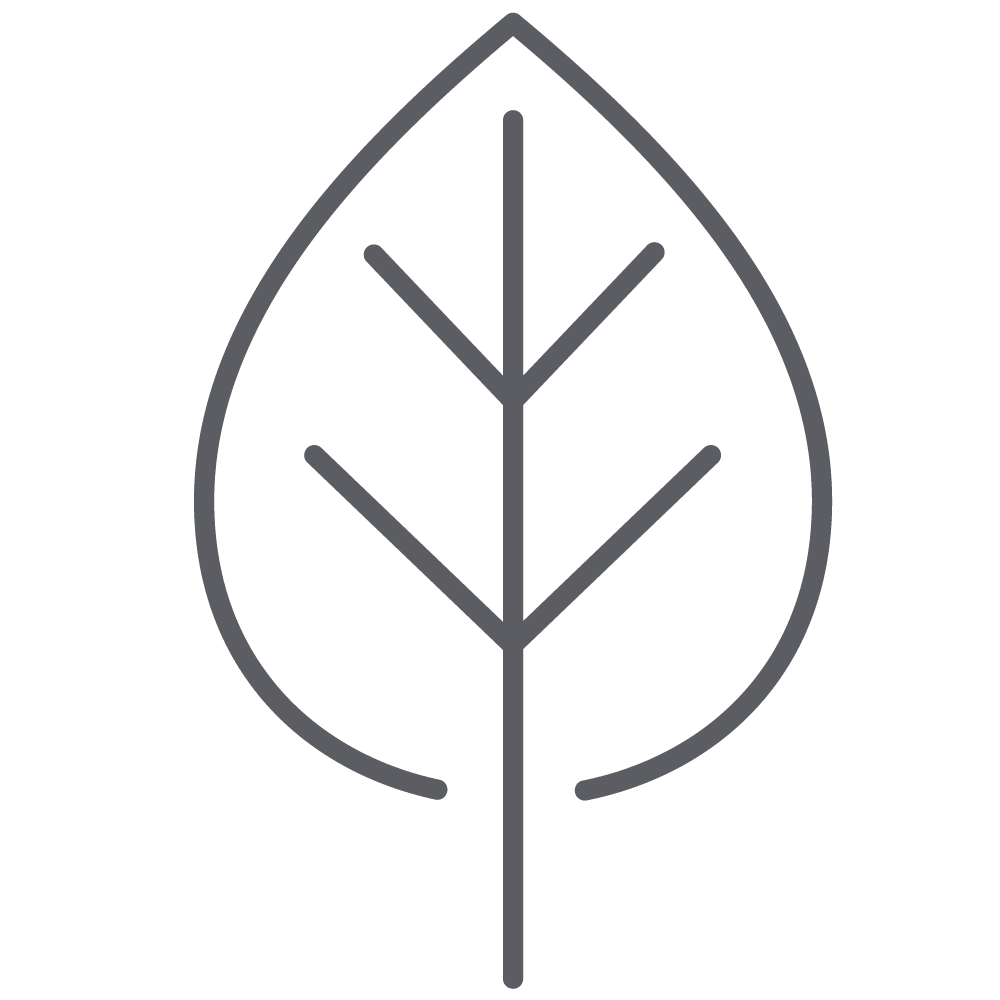 leaf-icon