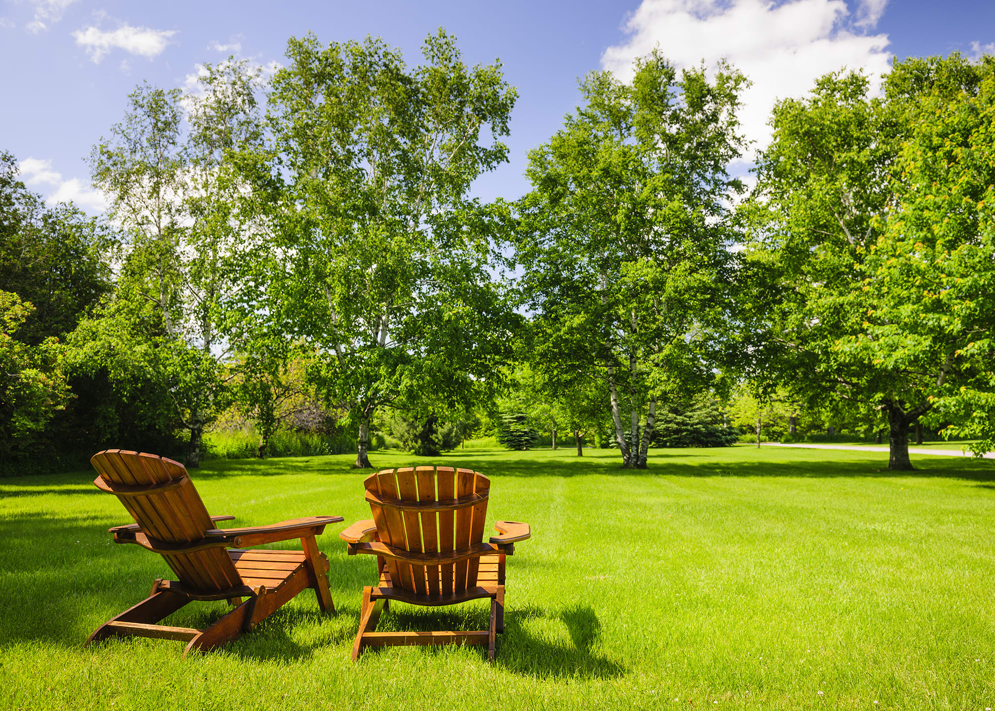 two chairs, green grass, and trees in a sustainable environment