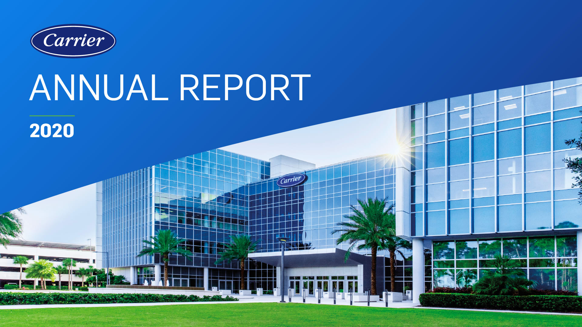 Carrier-2020-Annual-Report