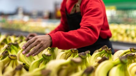 Bananas in Supermarket