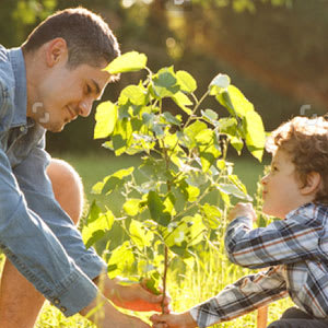 father-and-son-planting-tree-under-sun-676651870_sq