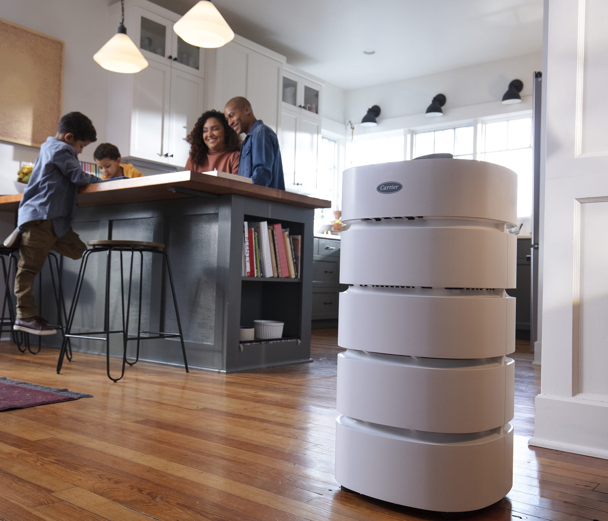 use-air-purification-units