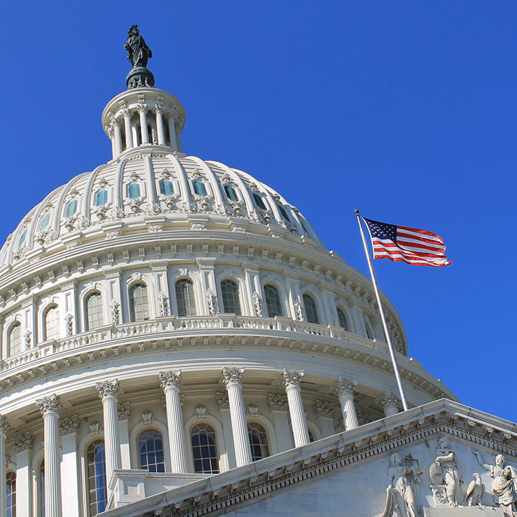 capitol-building-with-flag-1x1
