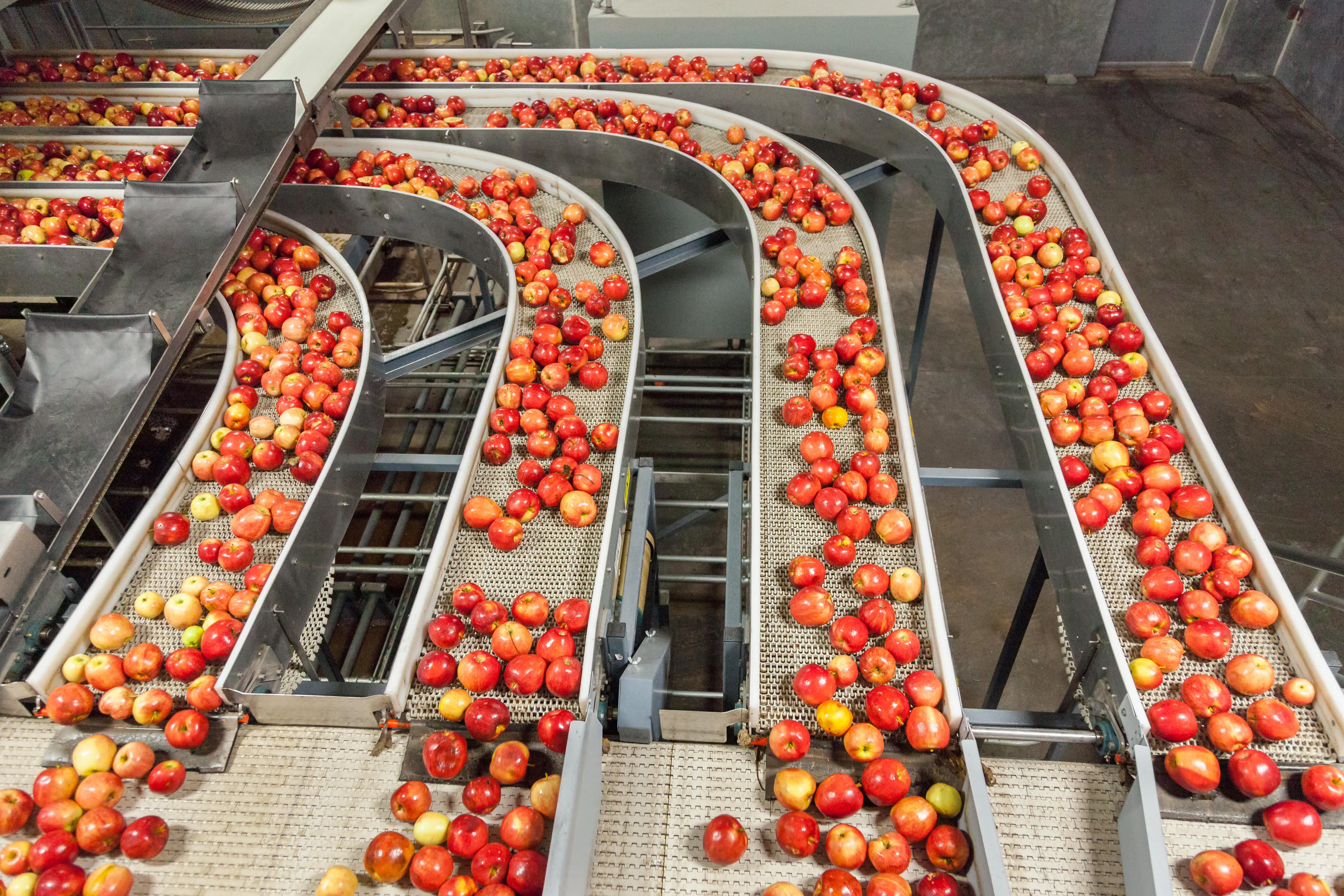 Food_processing_Carrier_Rental_4