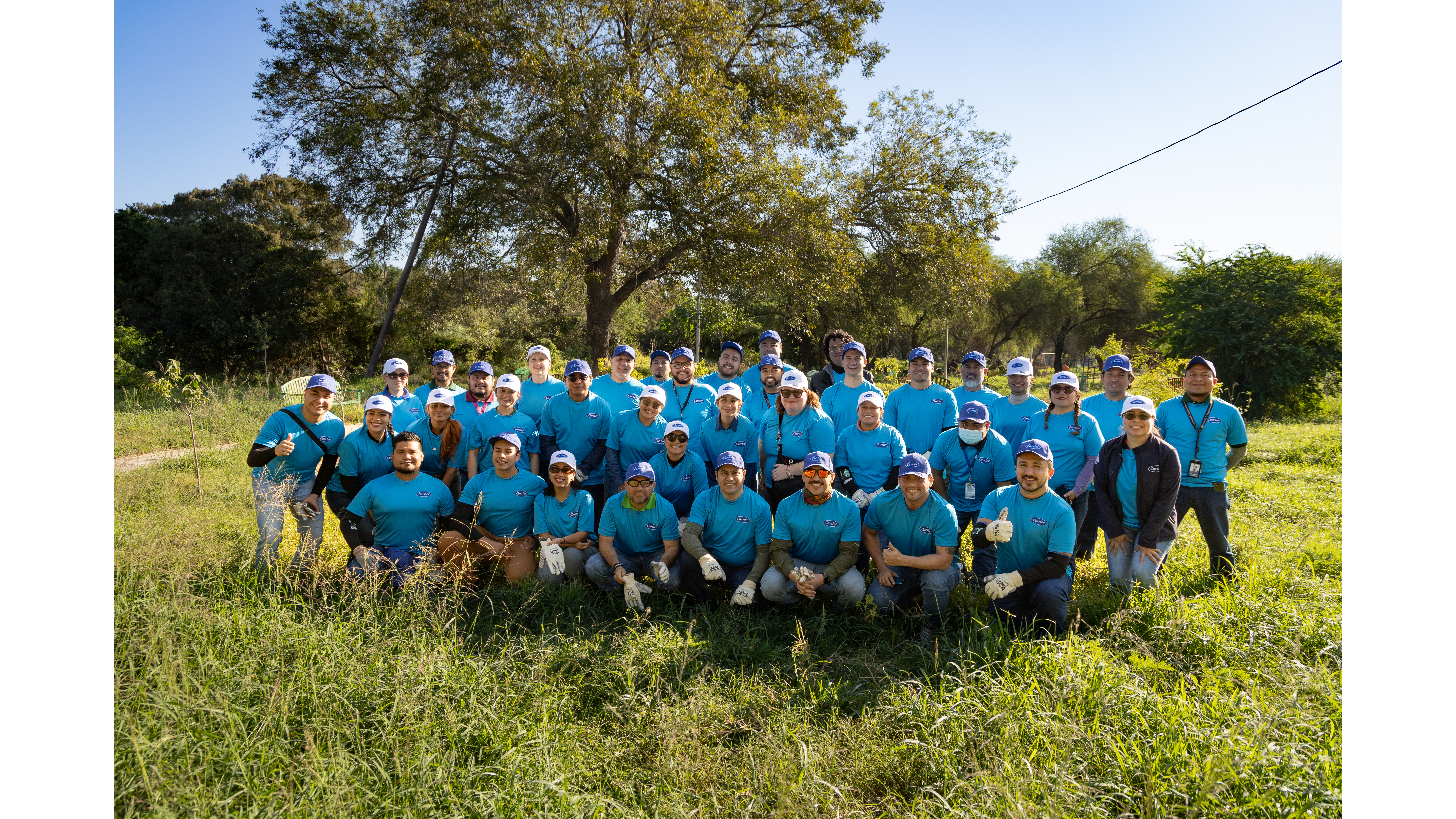 Carrier_Mexico_Tree_Planting_16x9
