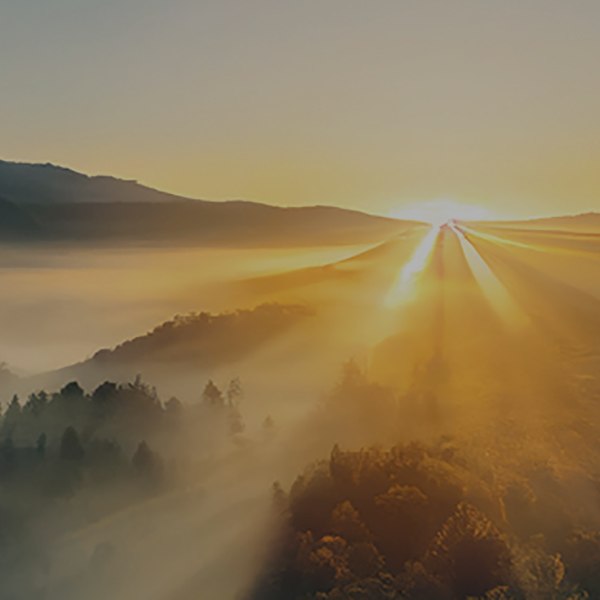 bannier-emailing-61aq-sq