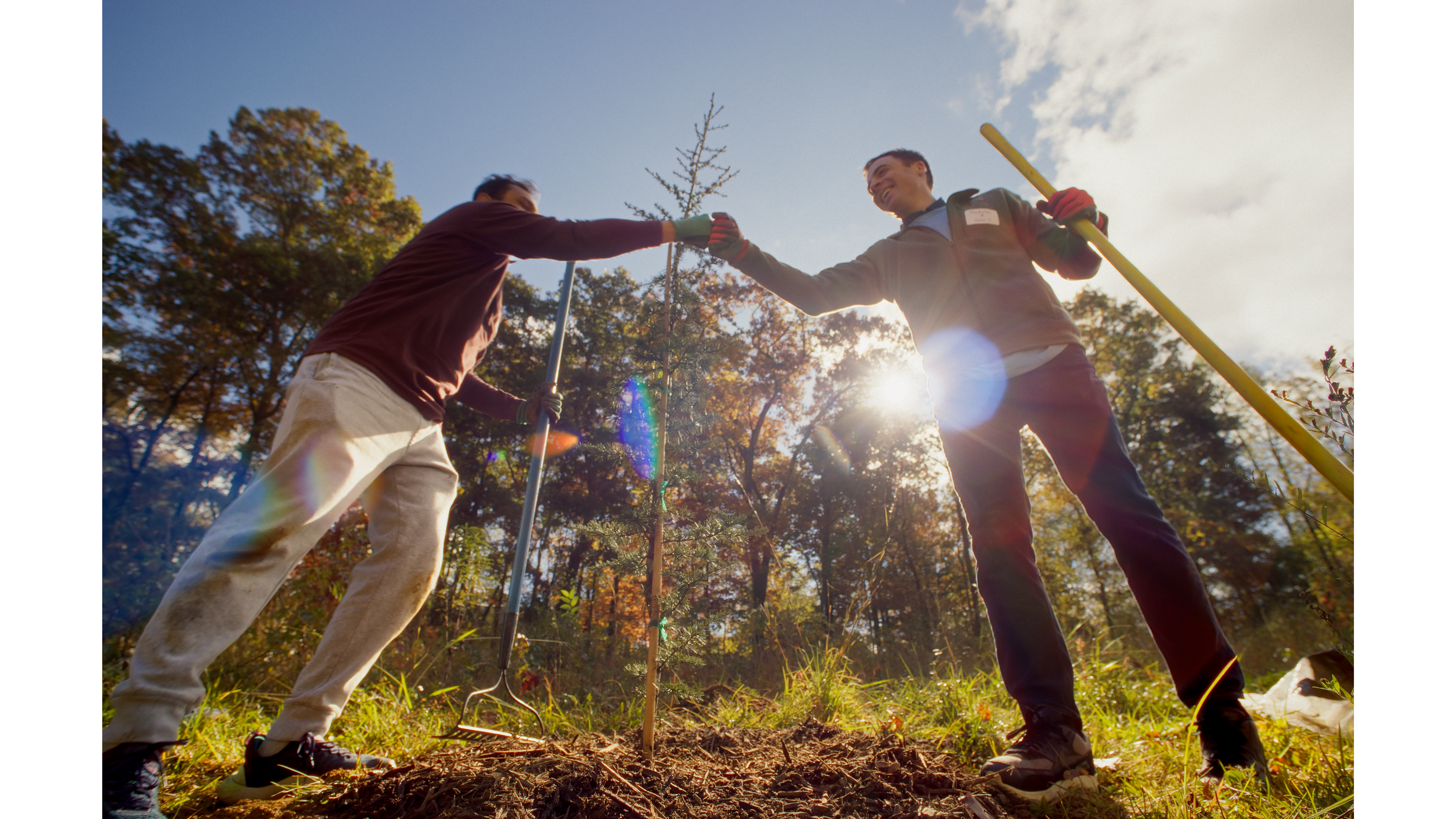 Carrier__1_01_36_08_19_16x9