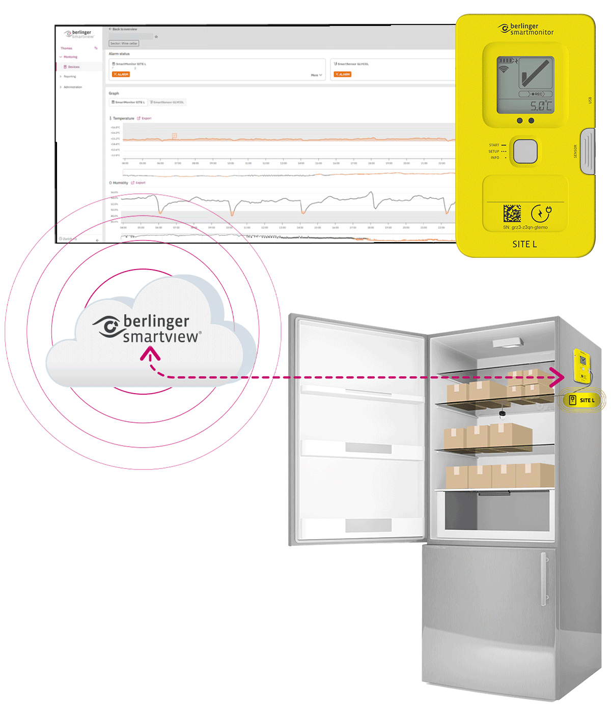 SmartView software with SmartMonitor Site L Device