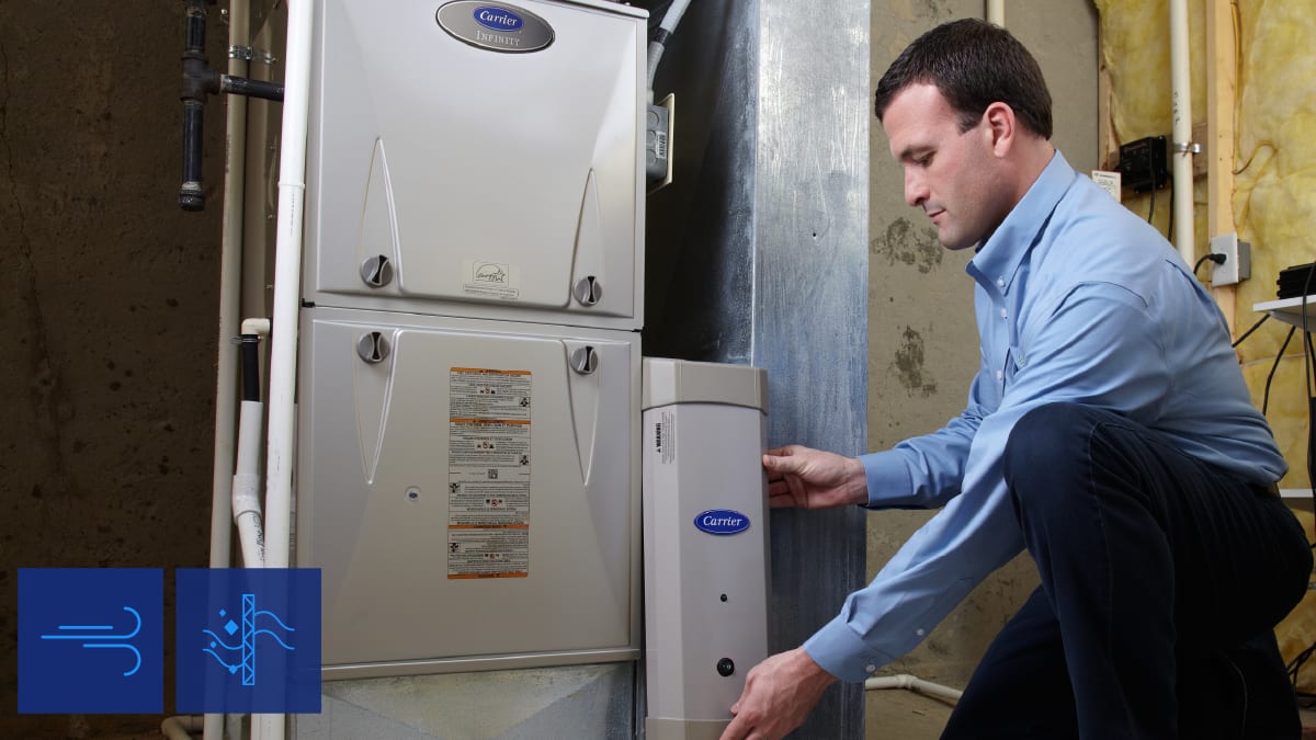 Carrier Healthy Homes Purifier. Man checking purifer