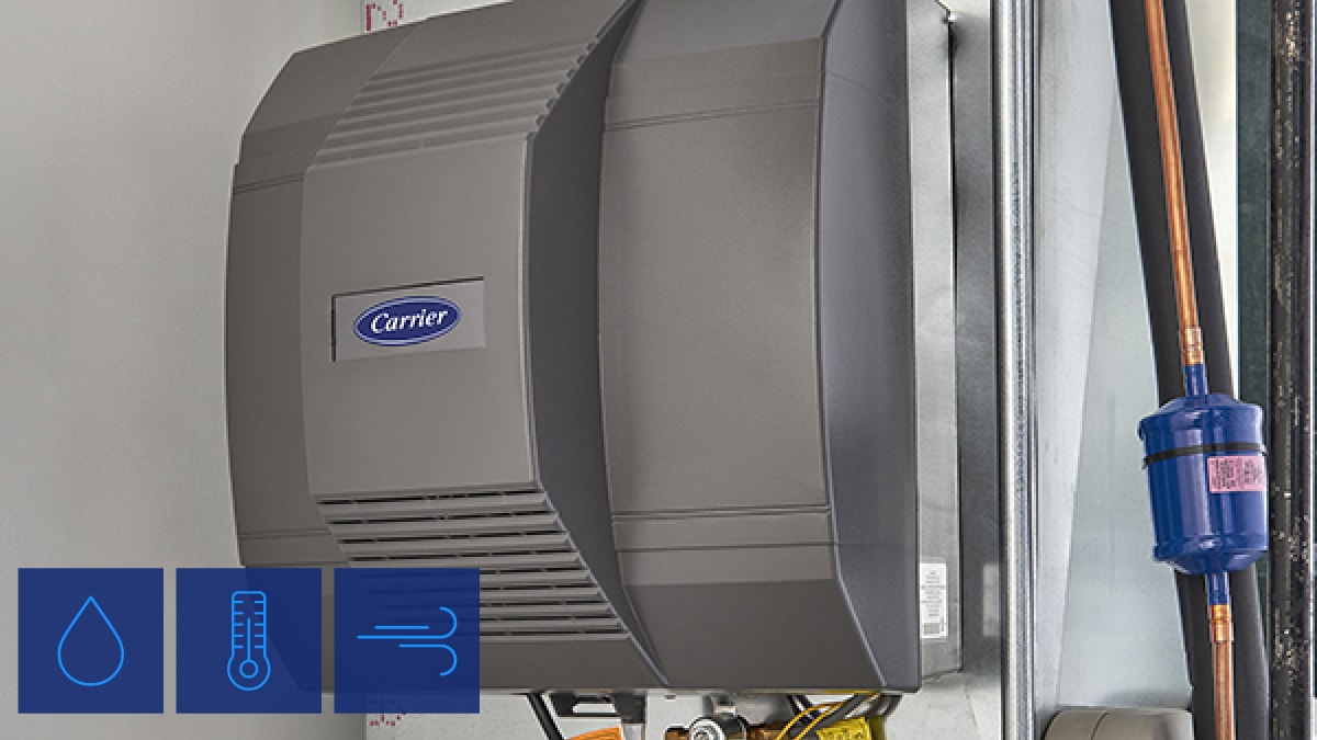 Carrier Healthy Homes. Infinity humidifier