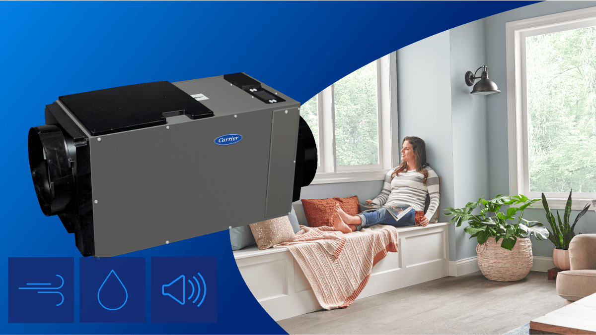 Carrier Healthy Homes. Infinity Dehumidifier, woman at home relaxing