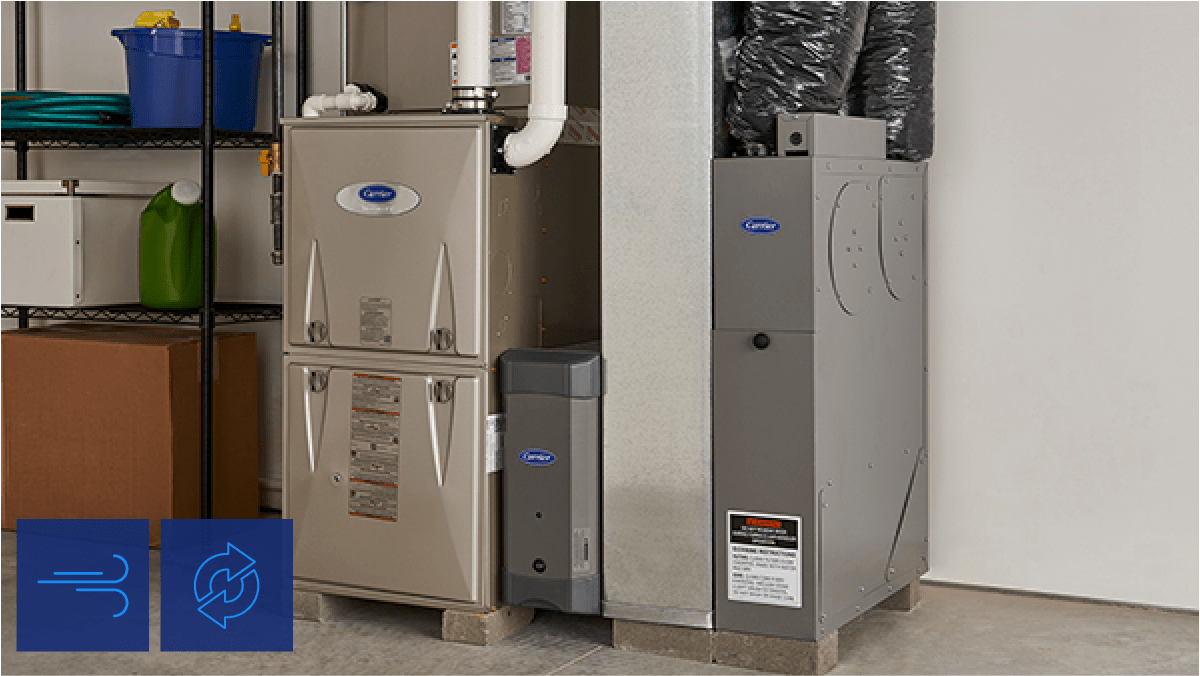 Carrier Healthy Homes. Infinity Purifier