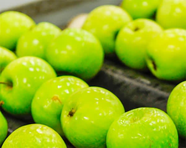 food-manufacturers-square