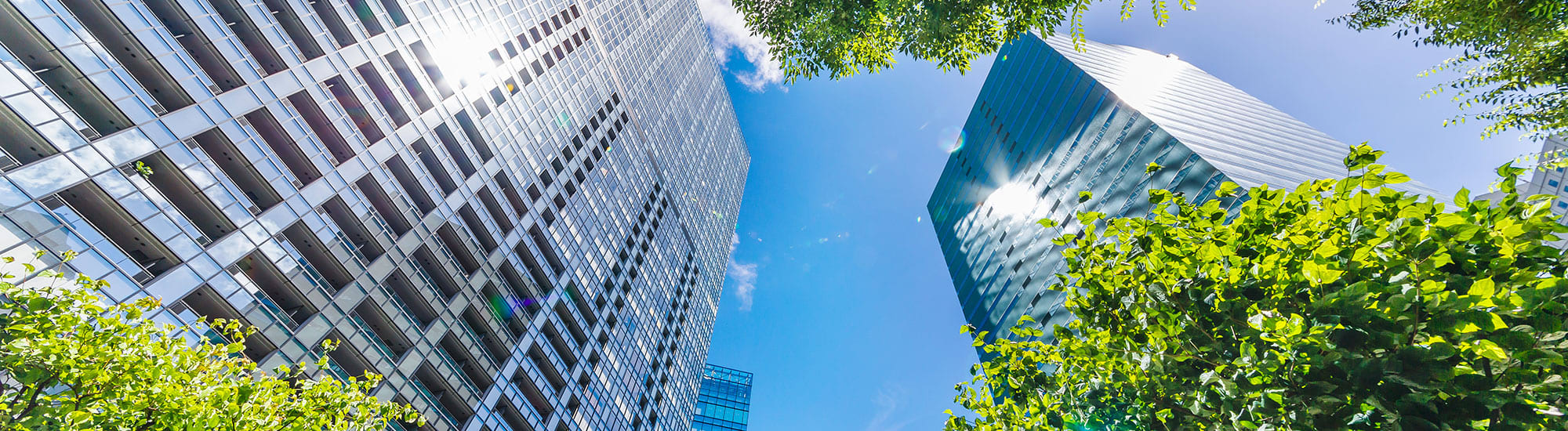 Environment-Office-Buildings-Trees-Hero_copy