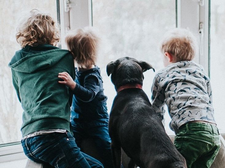 kids-dog-window_4-3