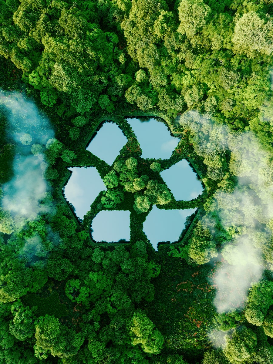 recycling-forest-lake-graphic-900x1200