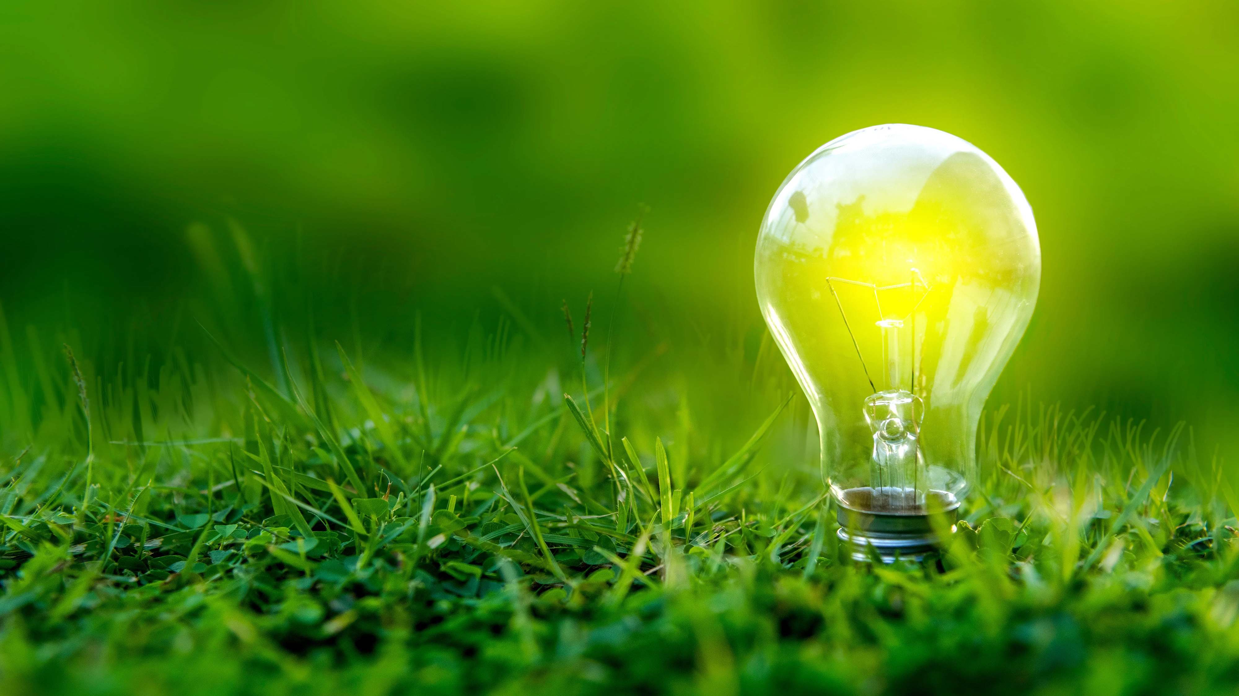 lightbulb-in-grass-16x9