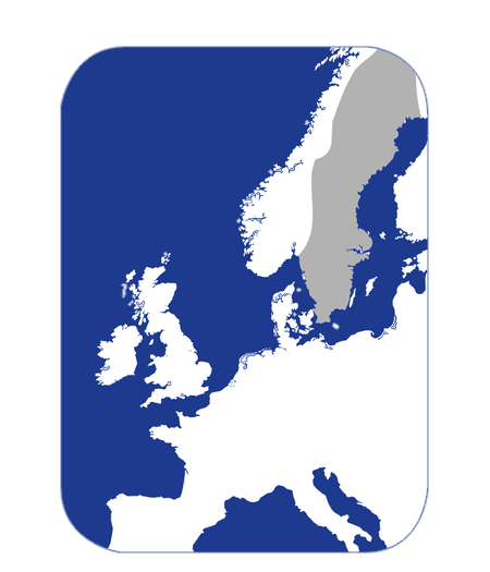 carrier-map-case-study-sweden