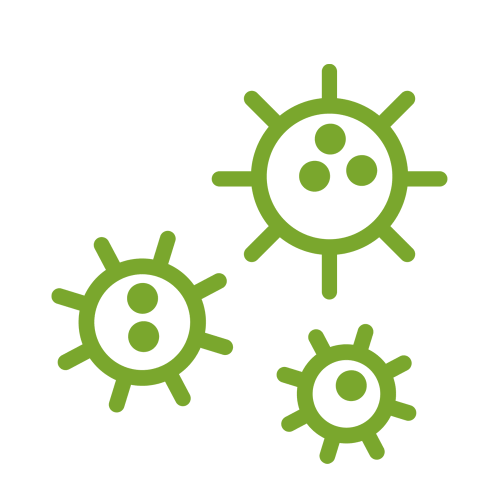 virus-bacteria-icon
