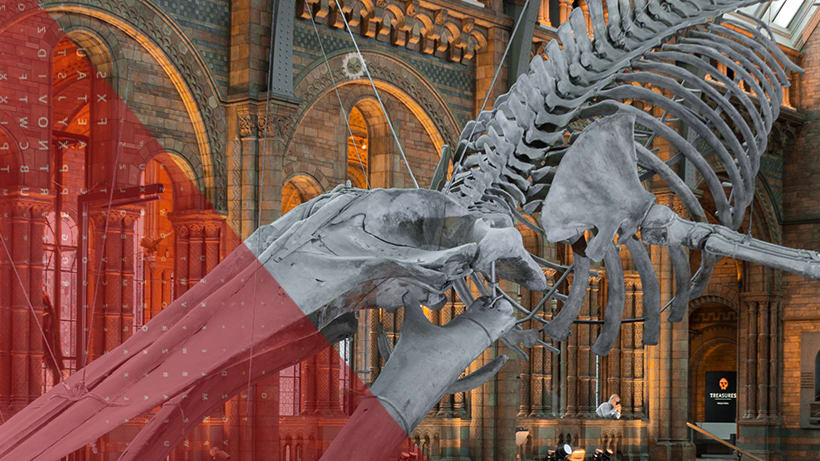 entertainment-card-16x9