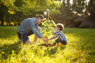 man-and-boy-planting-tree