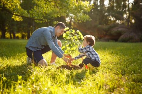 man-and-boy-planting-tree