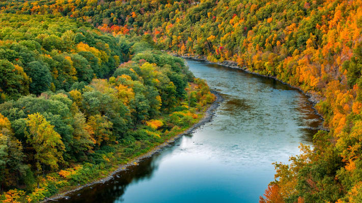 carrier-local-service-binghamton-new-york