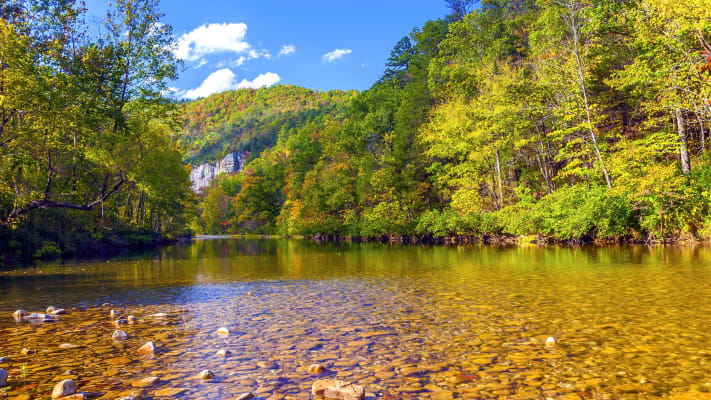 carrier-local-service-tontitown-arkansas