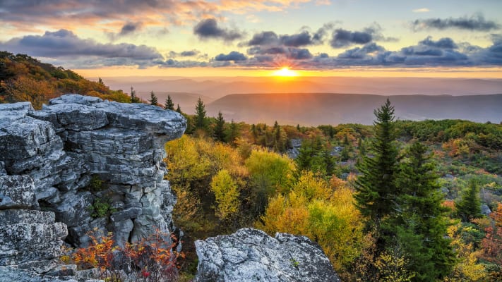carrier-local-service-fairmont-west-virginia