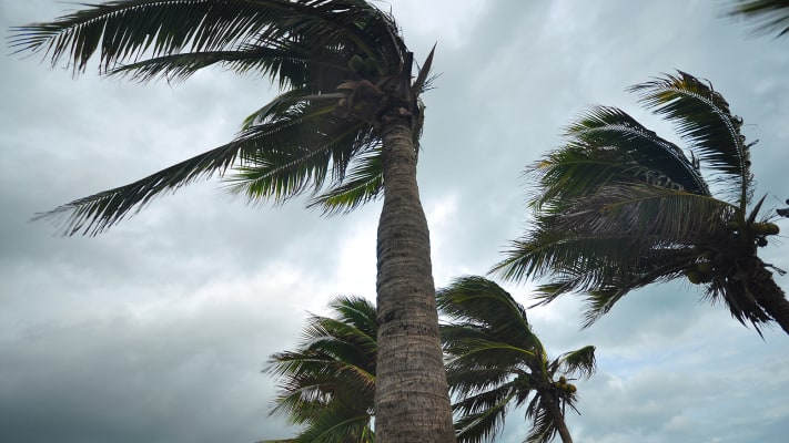 carrier-rentals-rescuing-hurricane-emergency-workers-case-studies