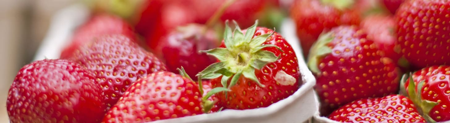 strawberries-in-containers_c