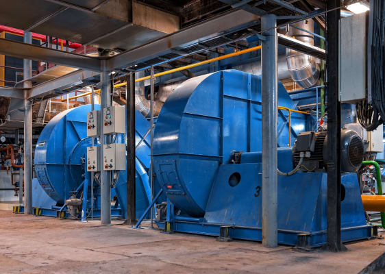 large-fans