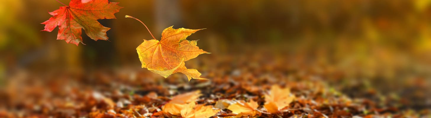 fall-hvac-training-courses