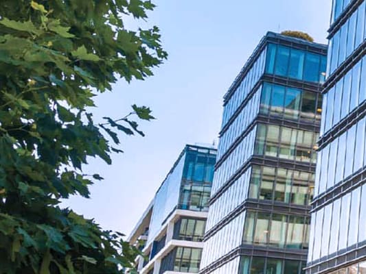 Exterior of multi-story office buildings with a tree in the foreground