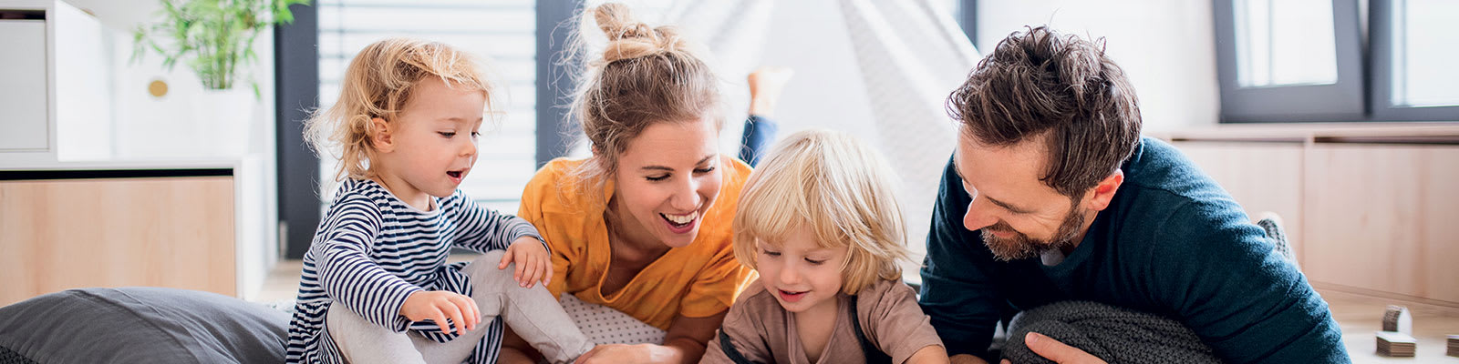 carrier-aerotermia-banner-h