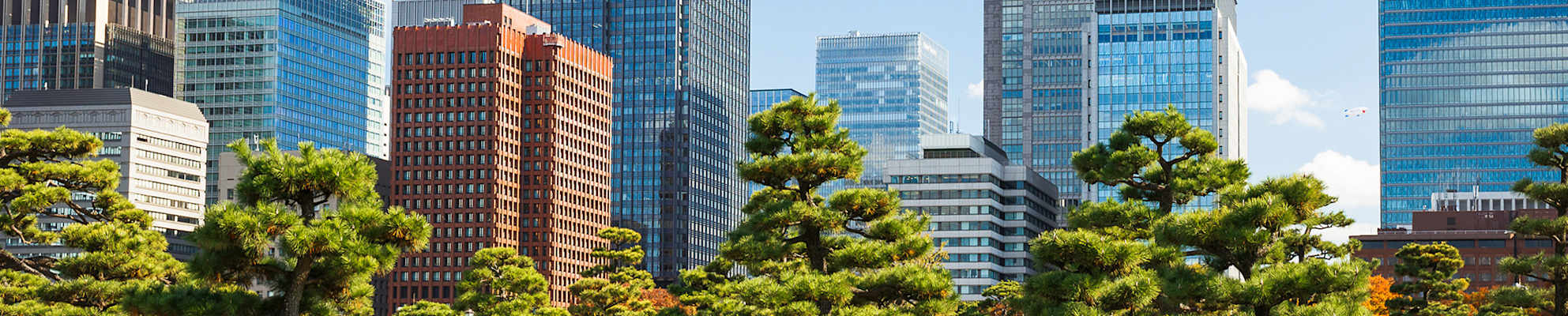 skyline-with-trees_copy