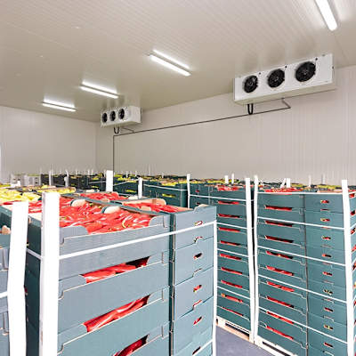 Food-and-beverage_Case-study_Food-warehouse_UK-square-banner